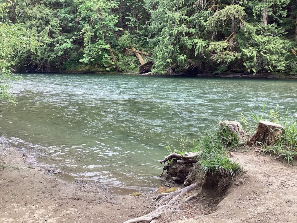 Strategic marketing for small businesses in the Cowichan Valley featuring a scenic view of the Cowichan River.