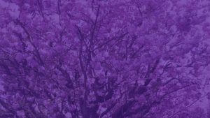 Spring Cleaning Your Online Presence: 3 High-Impact Moves.